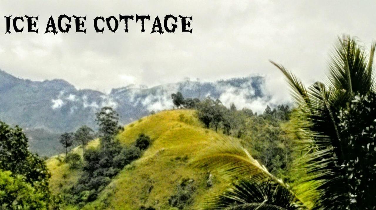 Ice Age Cottage Ella Eksteriør bilde
