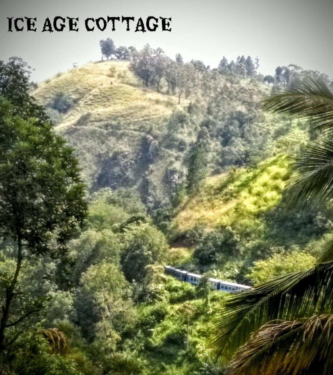 Ice Age Cottage Ella Eksteriør bilde